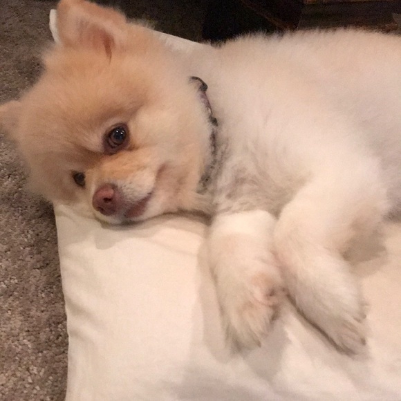 Meet your Posher, Kayli - Picture 2 of 3